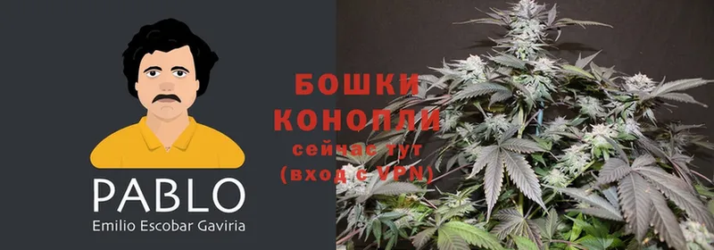 наркошоп  Медынь  Шишки марихуана SATIVA & INDICA 